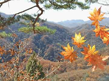 花开馥郁